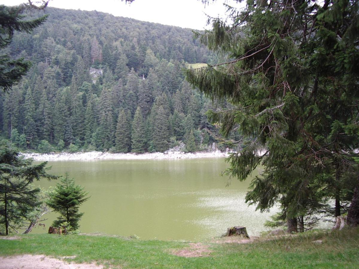 Gite Chez Vero Breitenbach-Haut-Rhin Zewnętrze zdjęcie