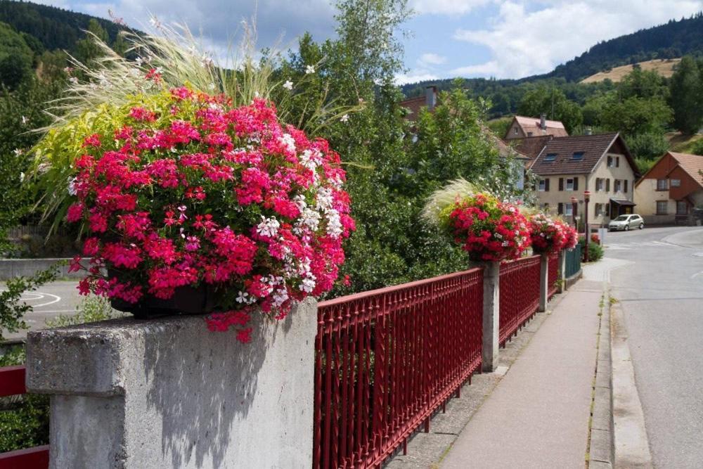 Gite Chez Vero Breitenbach-Haut-Rhin Zewnętrze zdjęcie
