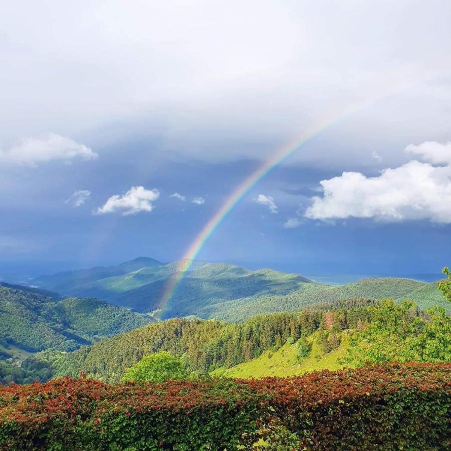 Gite Chez Vero Breitenbach-Haut-Rhin Zewnętrze zdjęcie