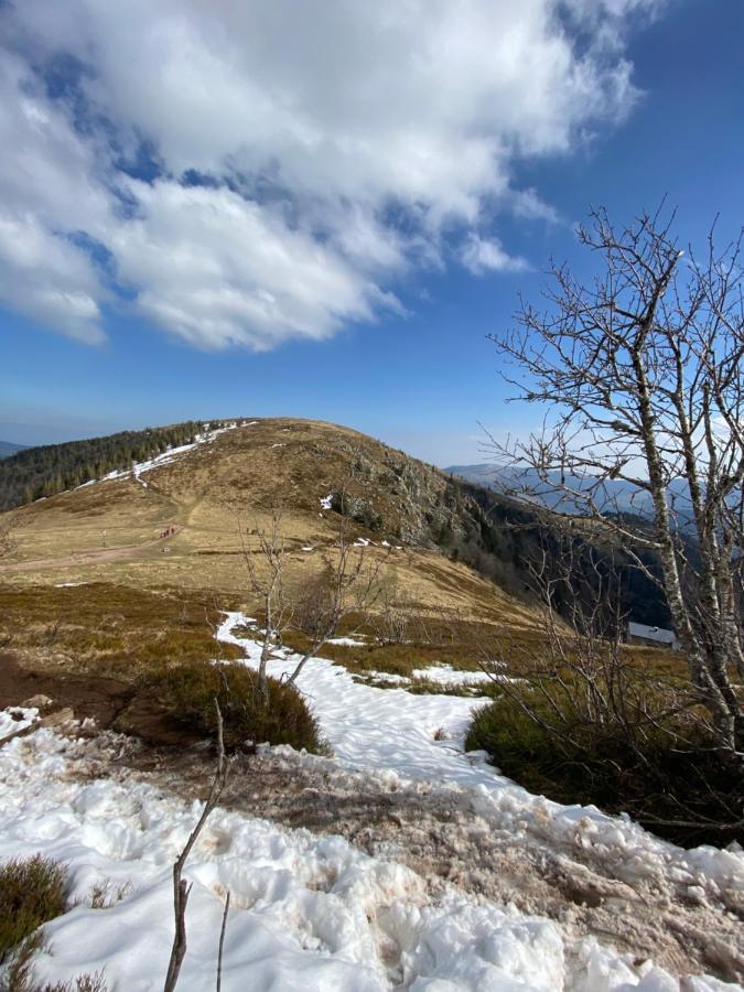 Gite Chez Vero Breitenbach-Haut-Rhin Zewnętrze zdjęcie