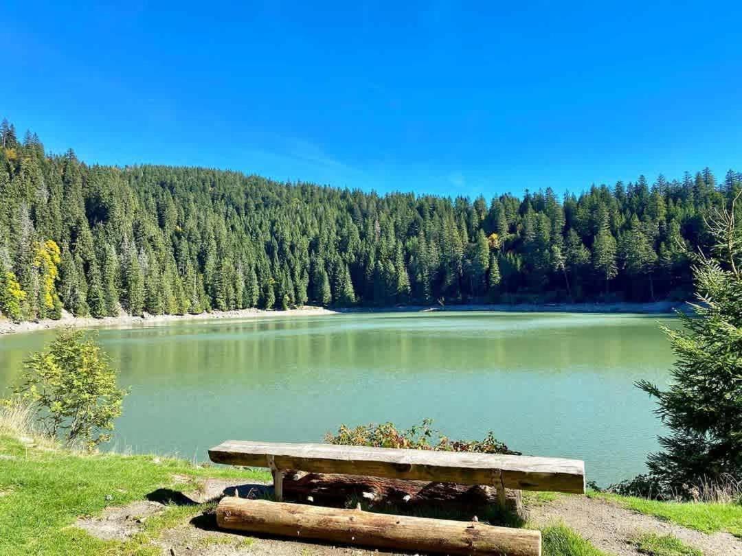 Gite Chez Vero Breitenbach-Haut-Rhin Zewnętrze zdjęcie