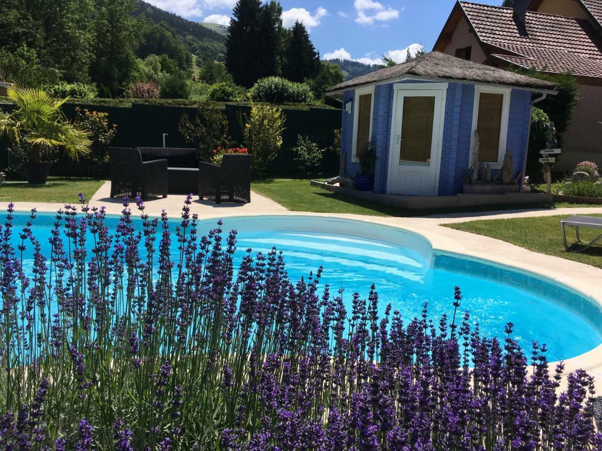 Gite Chez Vero Breitenbach-Haut-Rhin Zewnętrze zdjęcie