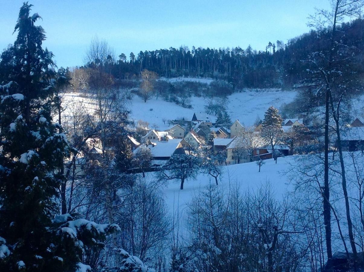 Gite Chez Vero Breitenbach-Haut-Rhin Zewnętrze zdjęcie